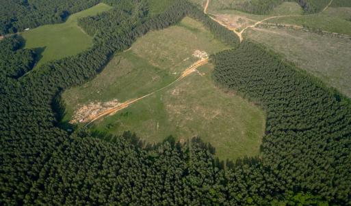 Photo #11 of 1100 Grandmas Hill Road, Amherst, VA 115.0 acres