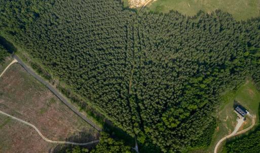 Photo #9 of 1100 Grandmas Hill Road, Amherst, VA 115.0 acres