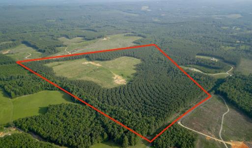 Photo #3 of 1100 Grandmas Hill Road, Amherst, VA 115.0 acres