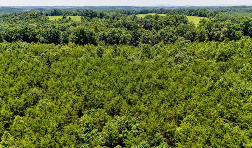 Photo #23 of Sandy Road, Gretna, VA 86.2 acres