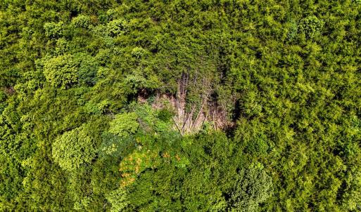 Photo #21 of Sandy Road, Gretna, VA 86.2 acres