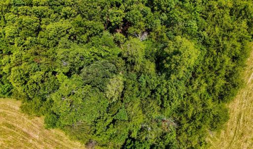 Photo #19 of Sandy Road, Gretna, VA 86.2 acres