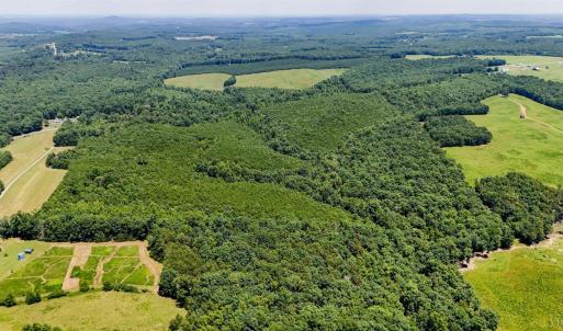Photo #6 of Sandy Road, Gretna, VA 86.2 acres