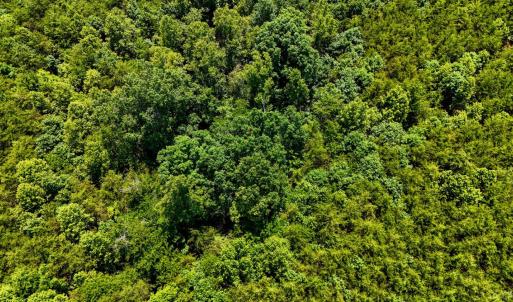 Photo #22 of Sandy Road, Gretna, VA 86.2 acres