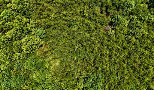 Photo #20 of Sandy Road, Gretna, VA 86.2 acres