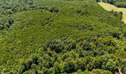 Photo #16 of Sandy Road, Gretna, VA 86.2 acres