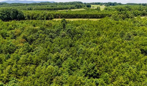 Photo #24 of Sandy Road, Gretna, VA 86.2 acres