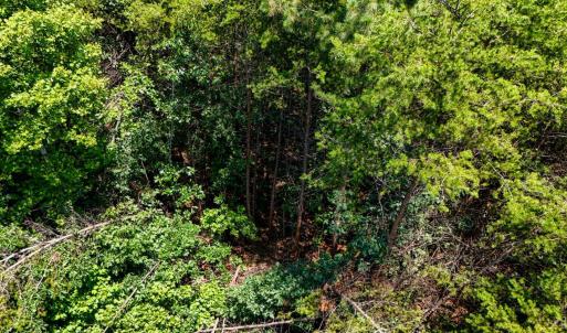 Photo #26 of Sandy Road, Gretna, VA 86.2 acres