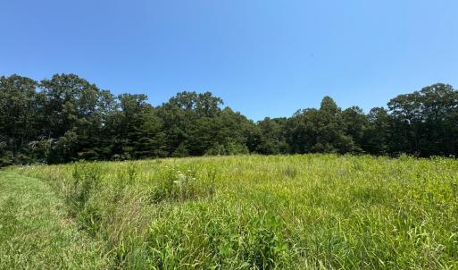 Photo #3 of 3 Duck Pond, Appomattox, VA 1.5 acres