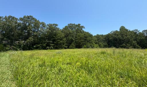 Photo #5 of 3 Duck Pond, Appomattox, VA 1.5 acres