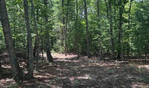 Photo #3 of Cheatham Road, Monroe, VA 27.5 acres