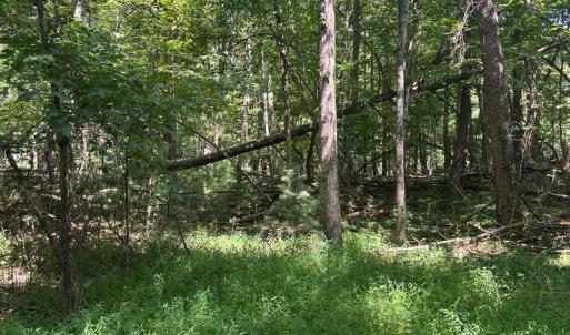 Photo #2 of Cheatham Road, Monroe, VA 27.5 acres
