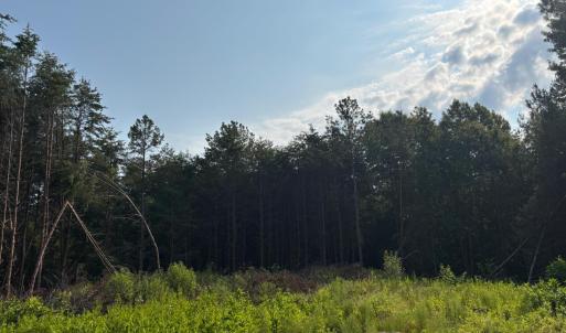 Photo #6 of Felix Road, Nathalie, VA 19.8 acres