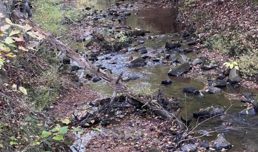 Photo #2 of Felix Road, Nathalie, VA 19.8 acres