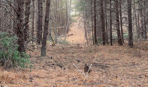 Photo #7 of Felix Road, Nathalie, VA 19.8 acres