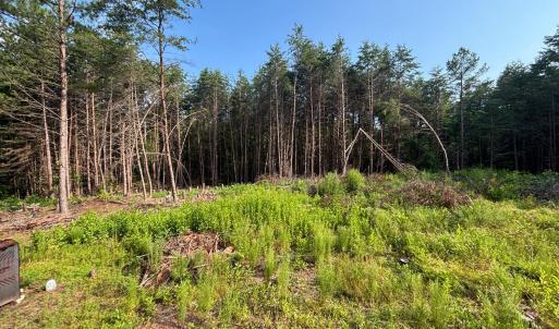 Photo #9 of Felix Road, Nathalie, VA 19.8 acres