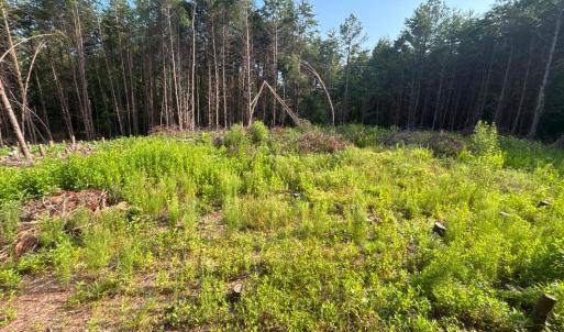 Photo #1 of Felix Road, Nathalie, VA 19.8 acres