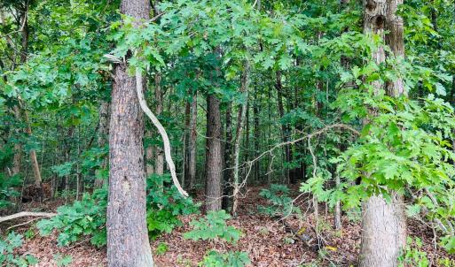 Photo #4 of Main Street, Hurt, VA 27.3 acres