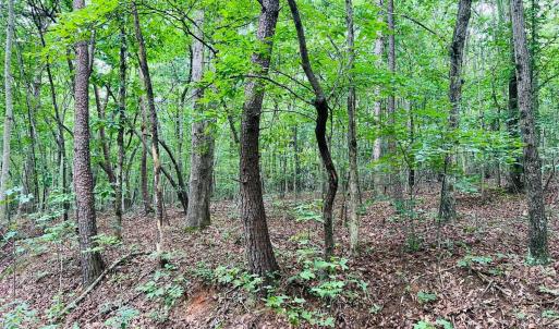 Photo #5 of Main Street, Hurt, VA 27.3 acres