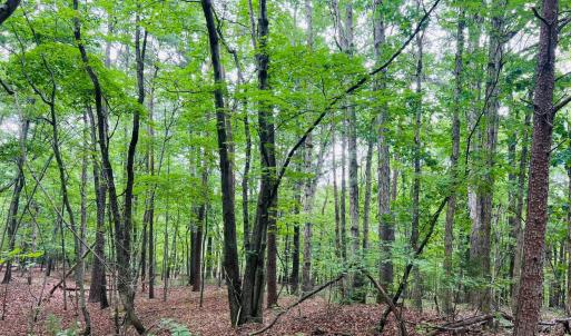 Photo #3 of Main Street, Hurt, VA 27.3 acres