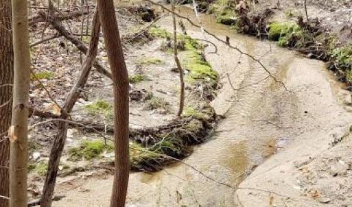 Photo #26 of Deal, Mooresville, NC 49.3 acres