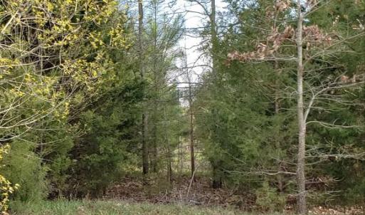 Photo #37 of Deal, Mooresville, NC 49.3 acres