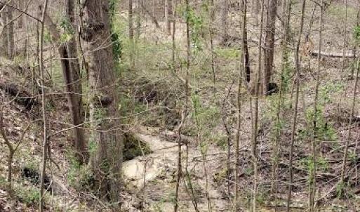 Photo #20 of Deal, Mooresville, NC 49.3 acres