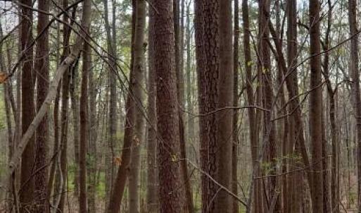 Photo #24 of Deal, Mooresville, NC 49.3 acres