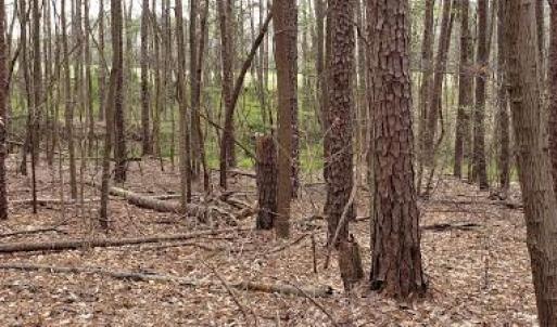 Photo #21 of Deal, Mooresville, NC 49.3 acres