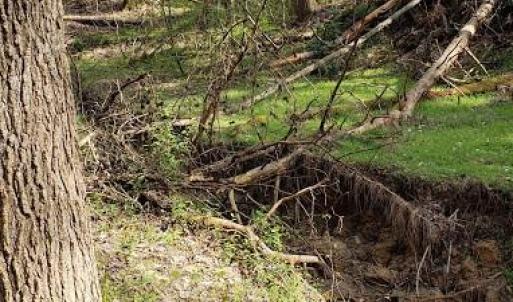 Photo #31 of Deal, Mooresville, NC 49.3 acres