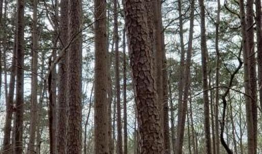 Photo #25 of Deal, Mooresville, NC 49.3 acres