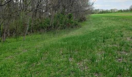 Photo #12 of Deal, Mooresville, NC 49.3 acres