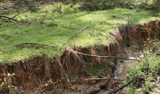 Photo #30 of Deal, Mooresville, NC 49.3 acres