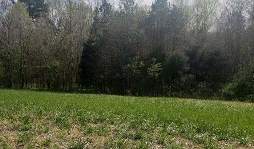 Photo #14 of Deal, Mooresville, NC 49.3 acres