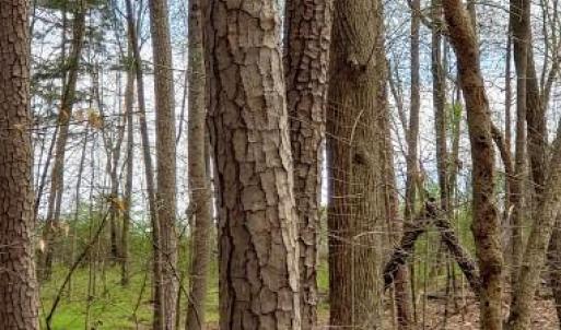 Photo #28 of Deal, Mooresville, NC 49.3 acres