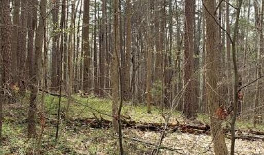 Photo #19 of Deal, Mooresville, NC 49.3 acres