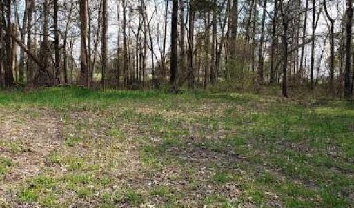 Photo #13 of Deal, Mooresville, NC 49.3 acres