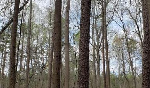 Photo #22 of Deal, Mooresville, NC 49.3 acres
