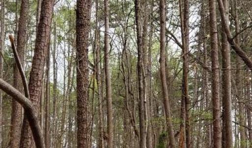 Photo #27 of Deal, Mooresville, NC 49.3 acres