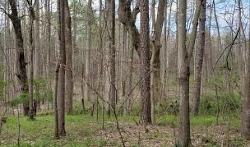 Photo #38 of Deal, Mooresville, NC 49.3 acres