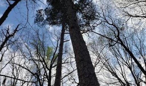 Photo #36 of Deal, Mooresville, NC 49.3 acres