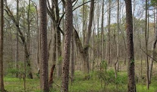 Photo #17 of Deal, Mooresville, NC 49.3 acres