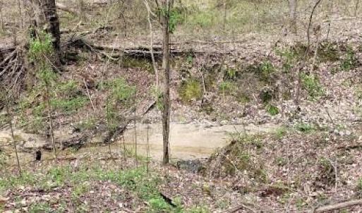 Photo #18 of Deal, Mooresville, NC 49.3 acres