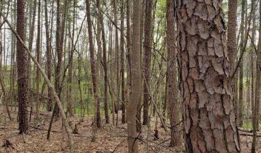Photo #23 of Deal, Mooresville, NC 49.3 acres