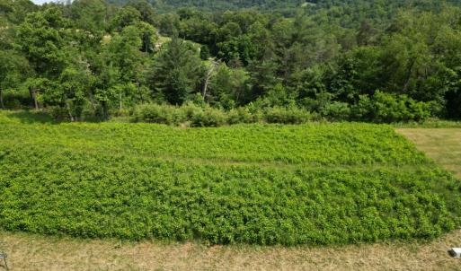 Photo #5 of River Rock Road, Vinton, VA 5.1 acres