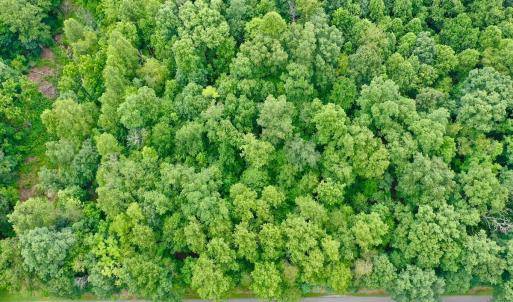 Photo #47 of Stewartsville Rd, Vinton, VA 17.5 acres