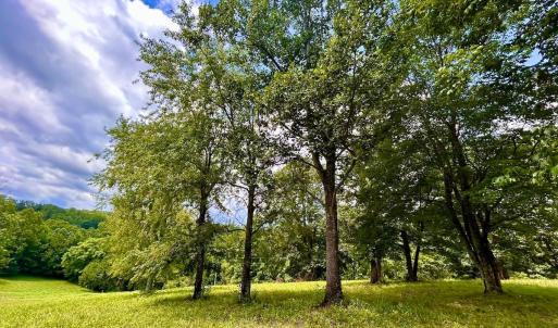 Photo #32 of Stewartsville Rd, Vinton, VA 17.5 acres