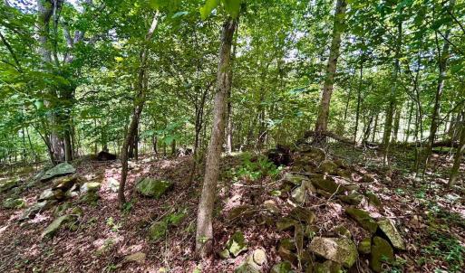 Photo #41 of Stewartsville Rd, Vinton, VA 17.5 acres