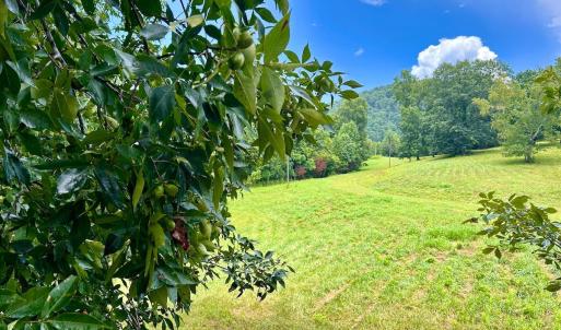 Photo #56 of Stewartsville Rd, Vinton, VA 17.5 acres