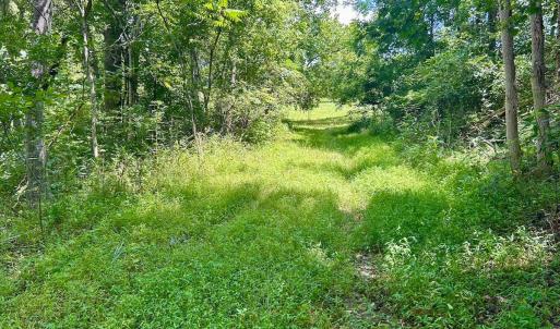 Photo #50 of Stewartsville Rd, Vinton, VA 17.5 acres